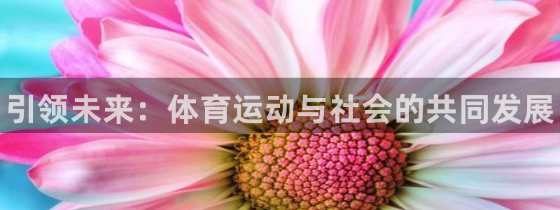 J9官方正版app集团logo：引领未来：体育运动与