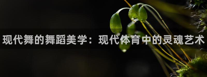 J9官网下载：现代舞的舞蹈美学：现代体育中的灵魂艺术