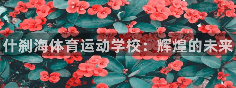J9官网下载招商电话地址：什刹海体育运动学校：辉煌的未来