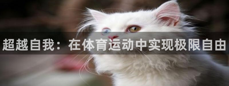 J9官方正版app集团官网首页：超越自我：在体育运动
