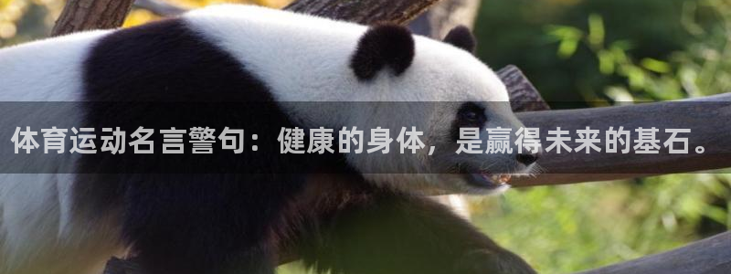 J9官网下载平台假的吗是真的吗：体育运动名言警句：健