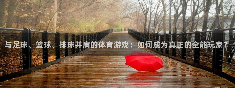 J9官网下载开户：与足球、篮球、排球并肩的体育游戏：