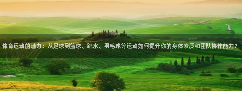 J9官方正版app官网：体育运动的魅力：从足球到篮球