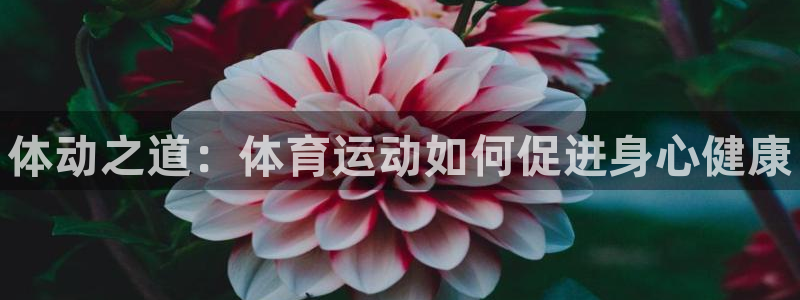 J9官方正版app官网：体动之道：体育运动如何促进身