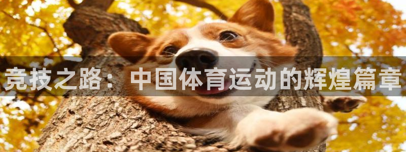 J9官方正版app集团官网网址：竞技之路：中国体育运